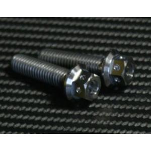 TITANIUM64 チタニウムロクジュウヨン キャリパーマウントボルト　レーススペック CBR25...