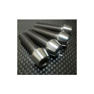 TITANIUM64 チタニウムロクジュウヨン キャリパーマウントボルト Panigale [パニガ...