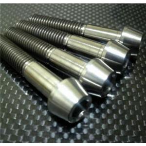 TITANIUM64 チタニウムロクジュウヨン キャリパーマウントボルト HYPERMOTARD79...