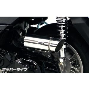 ロイヤルマフラー ユーロタイプ ステンレス ウイルズウィン（WirusWin