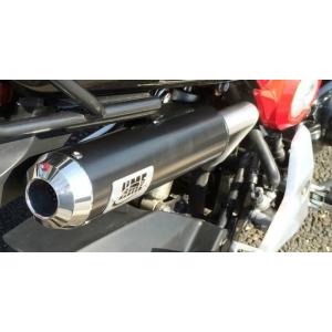 GROM（グロム）JC61 V-Racingマフラー（オールステンレス