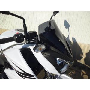 送料無料 MRA カワサキ Z250 スクリーンレーシング MR668S