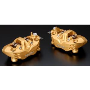 NISSIN ニッシン ADVANTAGE [ニッシン] ラジアルフィット ブレーキキャリパー HO...