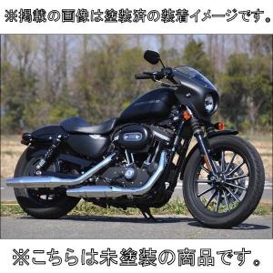 CHIC DESIGN（シックデザイン） ティーラ アーリーヘッドカウル