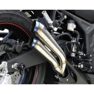 AKRAPOVIC YAMAHA YZF-R25/R3/MT-25/MT-03用 スリップオンライン