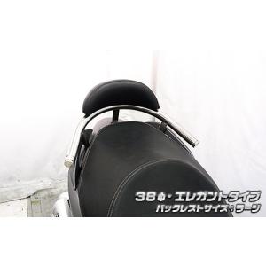 バイク 外装 ウイルズウィン WirusWin Bレスト付タンデムバー BRY 38 L
