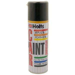 Holts ホルツ アンチラストペイント 300ml