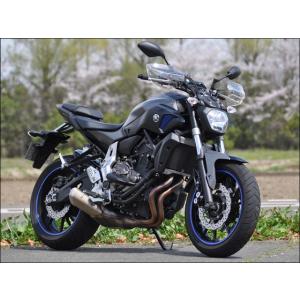 EIGHT(才谷屋) エイト(サイタニヤ) 片目耐久ゼッケンカウル CBR250RR