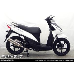 マフラー アールズギア ワイバンクラシック クラシカルタイプ W800 11
