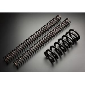 KTM EXC他2017～　テクニクス　TGR 前後スプリングセット TGR Lowering Kit - Technix Suspension Service