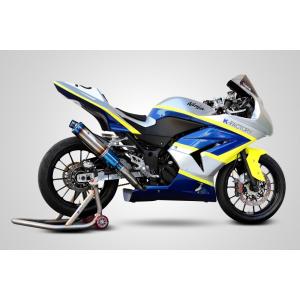 ツルノテクニカルサービス NINJA250 NINJA250R デュアルレーシング