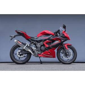 WR'S（ダブルアールズ） WR'S SS-OVAL スリップオンマフラー タイプ