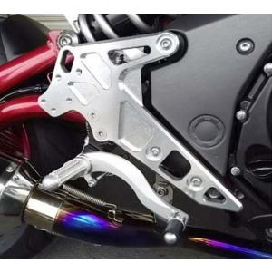 AKRAPOVIC（アクラポビッチ） レーシングライン フルエキゾースト