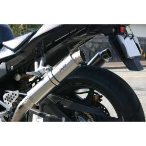 r's gear アールズギア ワイバン フルエキゾースト シングルタイプ