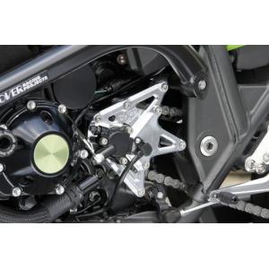 OVER OVER:オーヴァー スプロケットカバー ZRX1200ダエグ｜ウェビック1号店