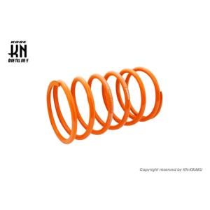 KOSO コーソー センタースプリング BWS125(ビーウィズ) シグナスX YAMAHA ヤマハ...