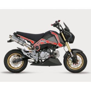 ホンダ（HONDA） サービスマニュアル NSR50 NSR80 DVD・書籍・カタログ