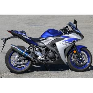 RPM アールピーエム 80D-RAPTORスリップオンマフラー サイレンサーカバー素材：ブルーチタ...