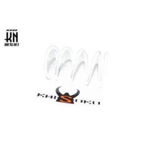 KN企画 ケイエヌキカク ヤマハ125系 センタースプリング KAISOKU [カイソク] タイプ：...