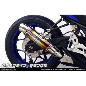 WR'S（ダブルアールズ） WR'S リアエキゾースト スリップオンマフラー