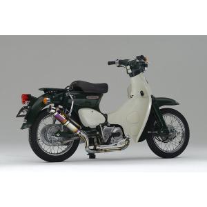WirusWin（ウイルズウィン） ロッドダウンショートマフラー スーパー