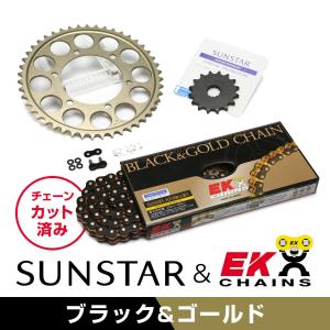 【M品】EKチェーン 525SRX2(GP/GP) 120L ゴールド 525SR-X2(BK；GP) 120L MLJ シールチェーン 525SR-X2 ブラック