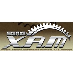 XAM XAM:ザム リアアルミスプロケット ポリッシュオーダー 丁数：42 SATURNO350 SATURNO500 CB400SS CBX400F CL400 FT400 スティード400 マグナ(Vツインマグナ)