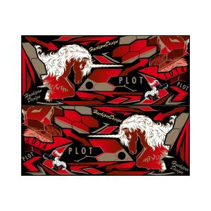 MDF（エムディーエフ） 車種別グラフィックデカールキット 13-Ninja250