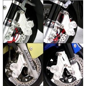 WirusWin ウイルズウィン キャリパーガード カラー：シルバー シグナスX YAMAHA ヤマ...