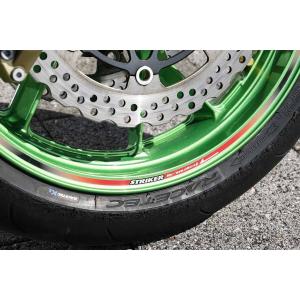 Odax（オダックス） ELメーターパネル ZRX1200ダエグ KAWASAKI