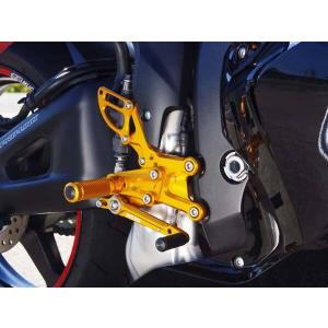 TSR テクニカルスポーツレーシング ラジエーターコアガード カラー