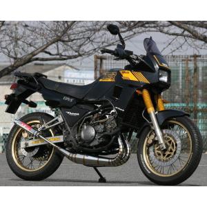 K2tec（ケイツー・テック） TDR250用 チャンバー TYPE-2 素材：鏡面