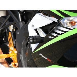 フラットランドレーシング TTR 125 FLR スキッドプレート YAMAHA