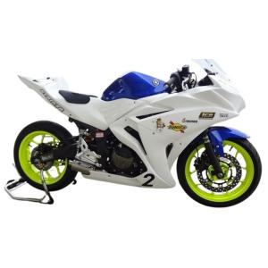 リアライズ YZF-R25/YZF-R3 チタン カール　マフラー リアライズ YZF-R25/YZF-R3 チタン カールマフラー