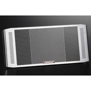 ETCHING FACTORY エッチングファクトリー HORNET 250用 ラジエターガード ホ...