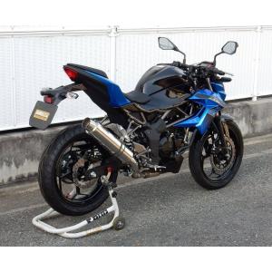 WirusWin（ウイルズウィン） グランドシャープマフラー エリミネーター