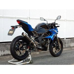 WR'S（ダブルアールズ） バイク マフラー Z250 2BK-EX250P/8BK-EX250Y