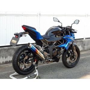 TRICK STAR（トリックスター） スリップオンマフラー IKAZUCHI