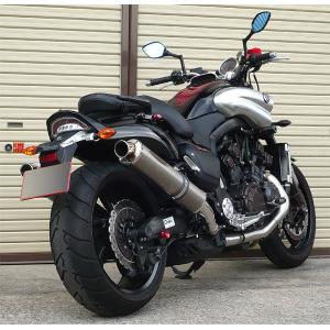 CHIC DESIGN（シックデザイン） ガイラシールド スクリーンカラー