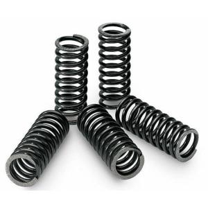 TECNIUM テクニウム クラッチスプリングキット 4本入り CR 80 R BIG WHEELS...
