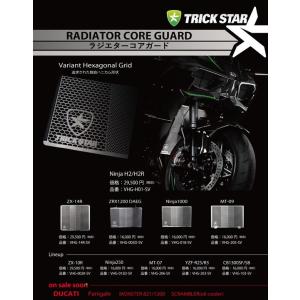 TRICKSTAR トリックスター ラジエターコアガード カラー：ブラックメッキ ニンジャ250SL...