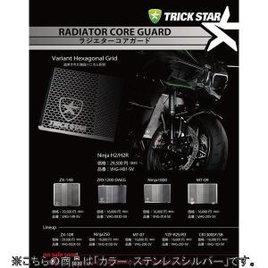 TRICK STAR（トリックスター） ラジエターコア＆オイルクーラーガード