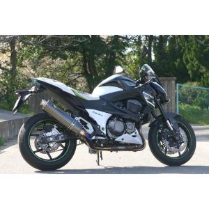 カワサキ（Kawasaki） BEET 13~16 Z800 NASSERT Evolution スリップ