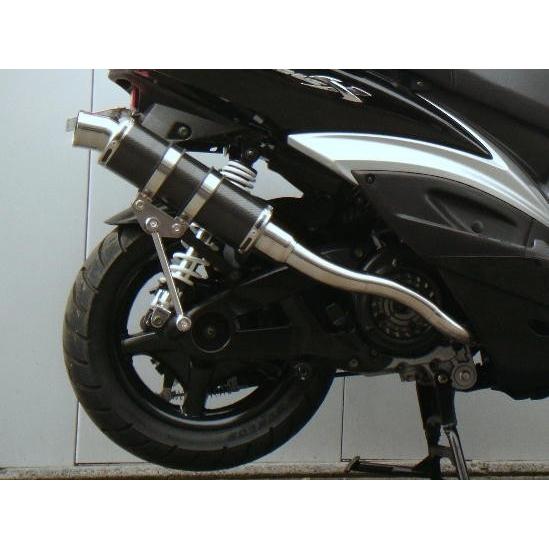 WINDJAMMERS ウインドジャマーズ スネークコーンパイプ マフラー サイレンサー仕様：カーボ...