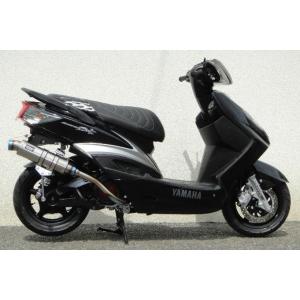 WINDJAMMERS ウインドジャマーズ チタンスクデット マフラー F/Ti A/F有 サイレン...