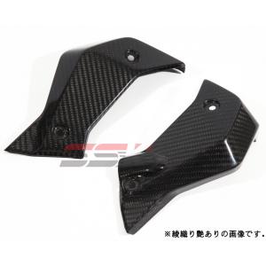 SPEEDRA スピードラ ラジエーターサイドカバー ドライカーボン タイプ：綾織り艶あり R1200R R1200RS BMW ラジエーターコアガード・オイルクーラーコアガード