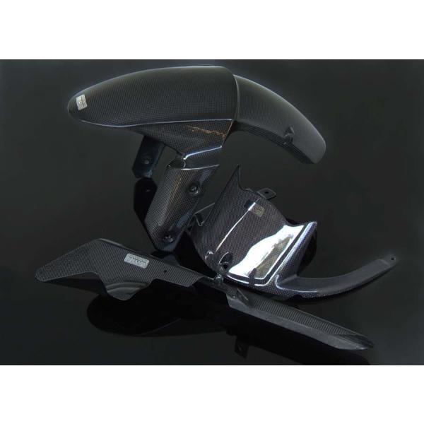 TYGA PERFORMANCE タイガパフォーマンス カーボンセット ZX-10R KAWASAK...