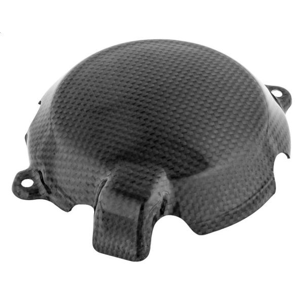 LighTech ライテック ドライカーボン ジェネレーターカバー ZX-10R SE ZX-10R...