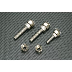 ADIO アディオ 除電ボルトナットセット 車体番号：SE86J-004161以降／M10ナット N...