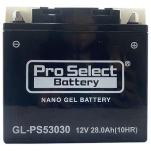 Pro Select Battery Pro Select Battery:プロセレクトバッテリー ...